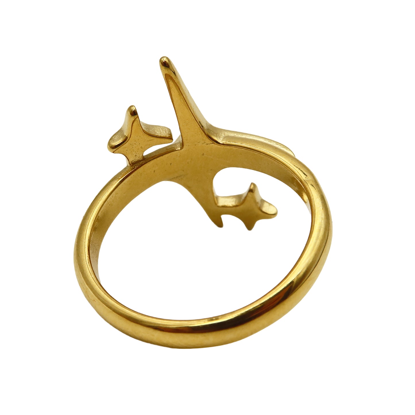 The North Star Bypass Ring